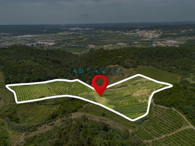 Terreno venda em Alcobaça, Leiria