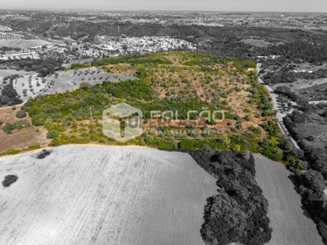 Terreno venda em Santarém