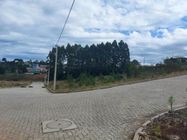 Terreno venda em Região Geográfica Imediata de Caxias do Sul, Caxias do Sul