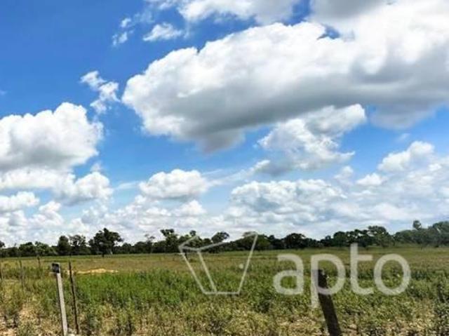 Terreno venda em Região Geográfica Imediata de Campo Grande, Campo Grande