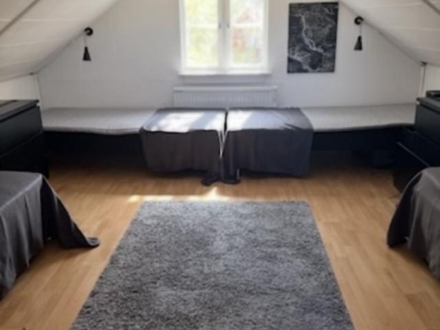 Rum hyra i Slottsskogen, Uppsala