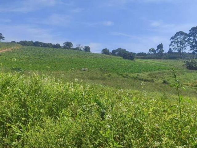 Terreno venda em Região Imediata de Sorocaba, Região Metropolitana de Sorocaba