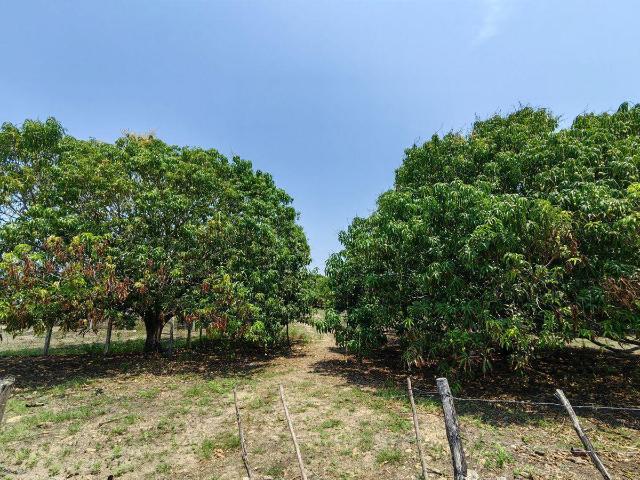 Terreno en venta en Tonalá, Chiapas