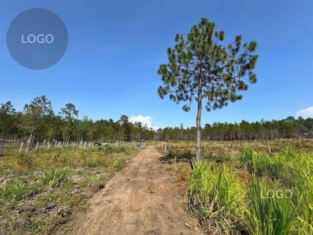 Terreno en venta en Jitotol, Chiapas