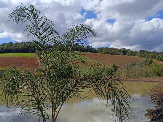 Terreno venda em Região Imediata de Sorocaba, Região Metropolitana de Sorocaba