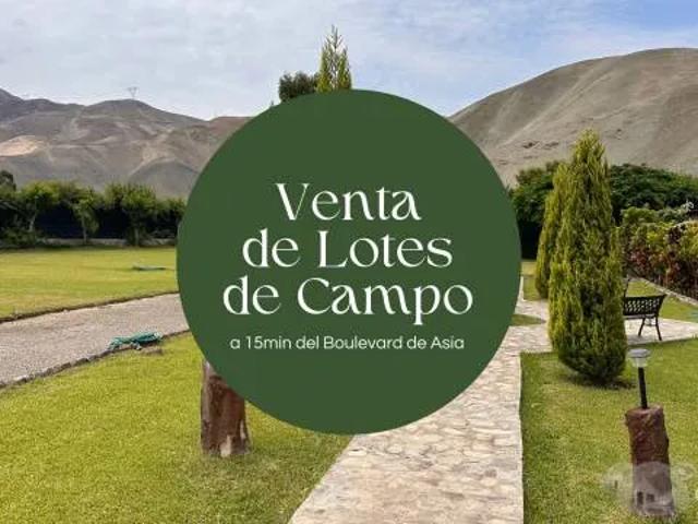 Terreno venta en Canete, Lima Metropolitana