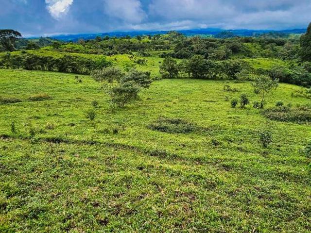 Lotes de Montaña en venta en Cordillera Arriba, Chiriqui