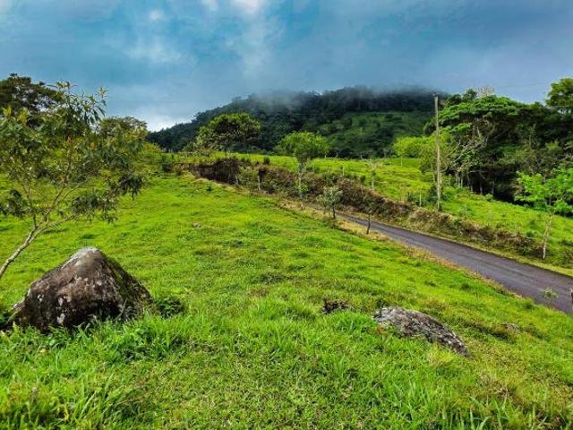Lotes de Montaña en venta en Cordillera Arriba, Chiriqui
