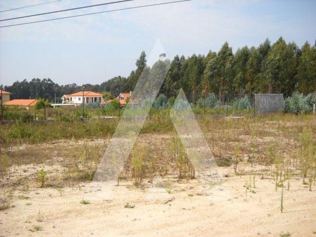 Terreno venda em Bairro do Vouga, Aveiro