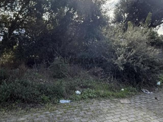 Terreno venda em Palmela, Setúbal