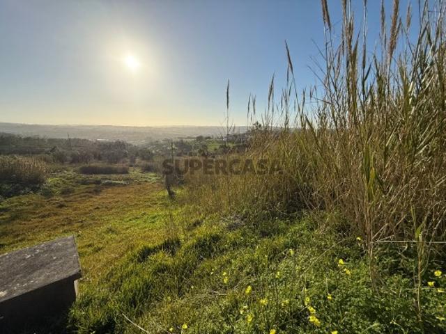Terreno venda em Alcobaça, Leiria