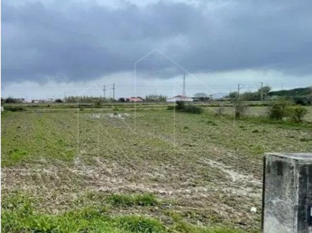 Terreno venda em São Bernardo, Aveiro