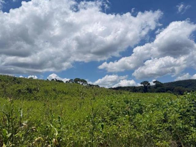 Sítio e chácara venda em Região Imediata de Sorocaba, Região Metropolitana de Sorocaba
