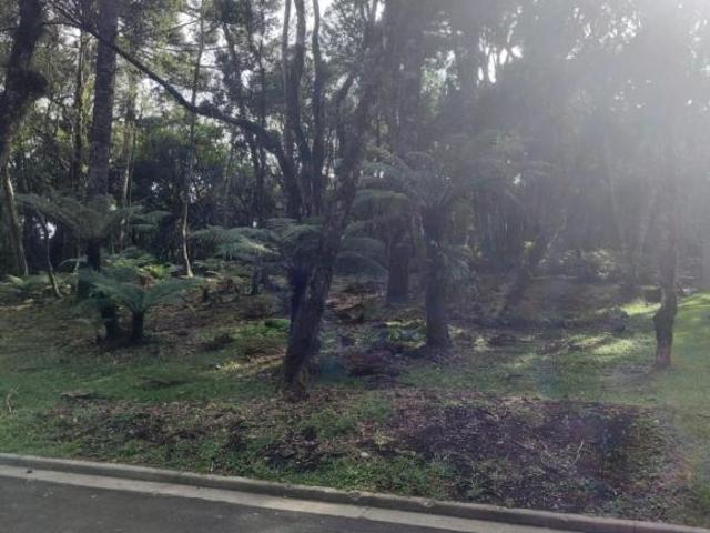 Terreno venda em Região Geográfica Imediata de Caxias do Sul, Gramado