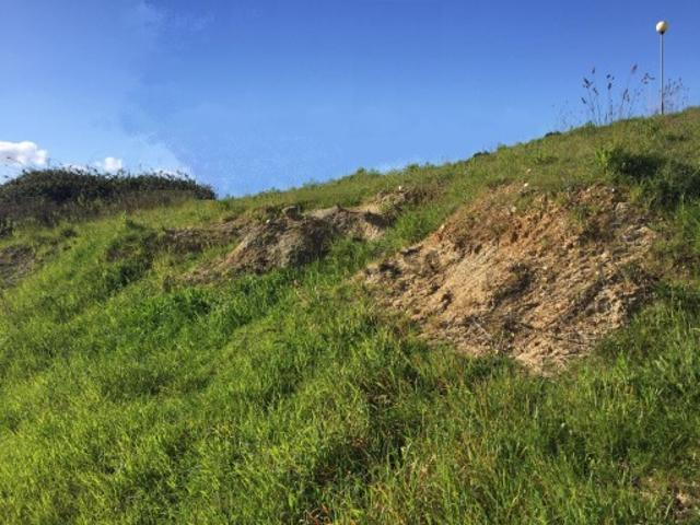 Terreno venda em Anadia, Aveiro
