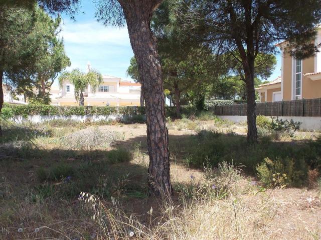 Terreno venda em Loulé, Faro