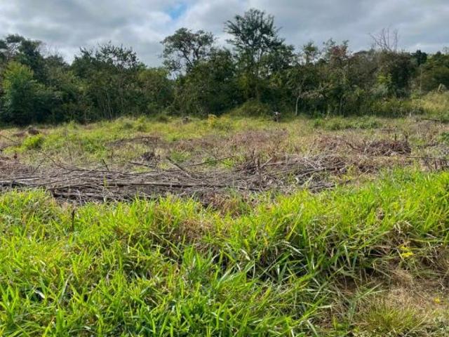 Terreno venda em Franco da Rocha