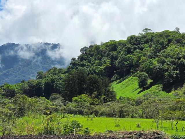 Lotes rurales en Venta en Cordillera Arriba, Chiriquí
