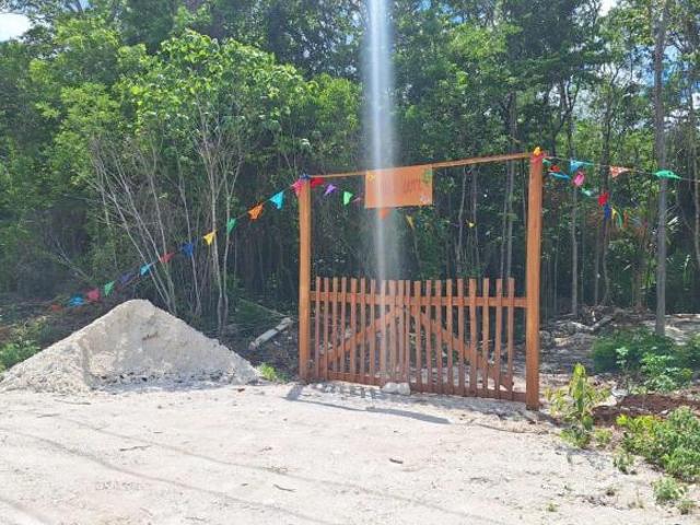 Terreno en venta en Uh May, Felipe Carrillo Puerto