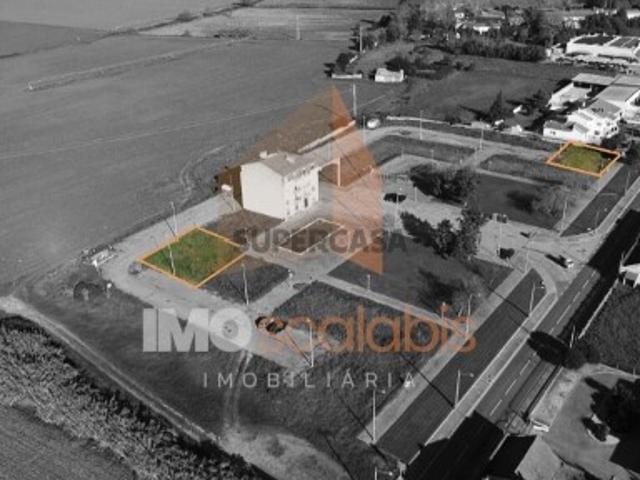 Terreno venda em Alpiarça, Santarém