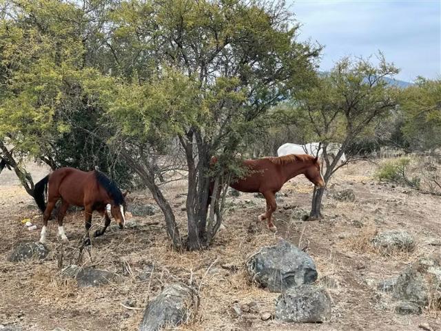 Terreno en venta en Alhué, Metropolitana