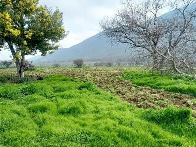 Terreno en venta en Alhué, Metropolitana