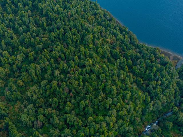 Terreno en venta en Puerto Cisnes, Cisnes