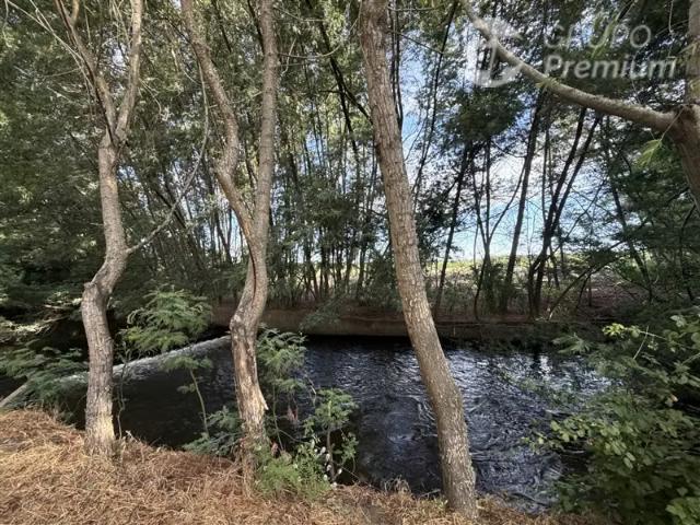 Terreno en arriendo en Alto Biobío, Biobío