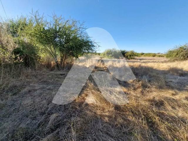 Terreno en venta en Ñuble