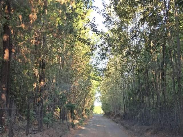 Terreno en venta en Villa Las Maravillas, Cabrero