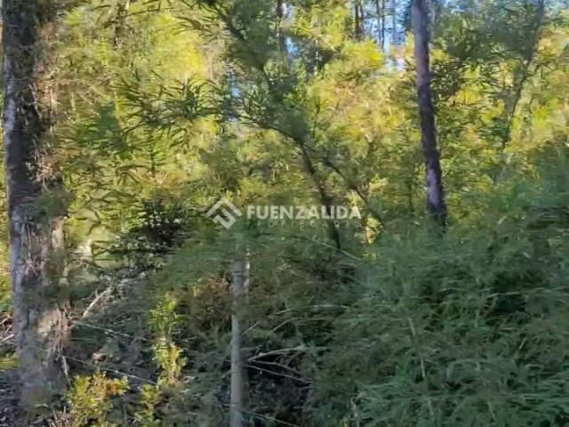 Terreno en venta en Calbuco, Los Lagos