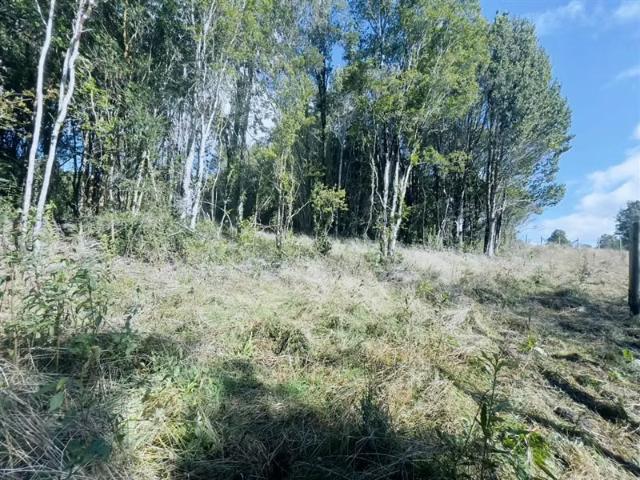 Terreno en venta en Castro, Los Lagos