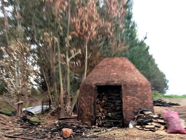 Terreno en arriendo en Cauquenes, Maule