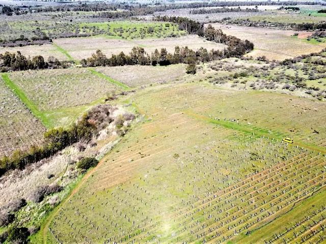 Terreno en arriendo en Cauquenes, Maule