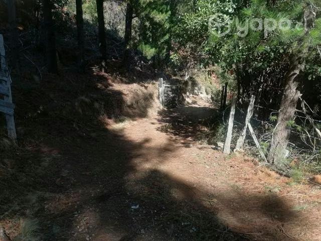 Terreno en venta en Cañete, Biobío