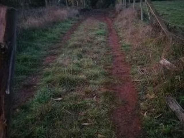 Terreno en venta en Cañete, Biobío