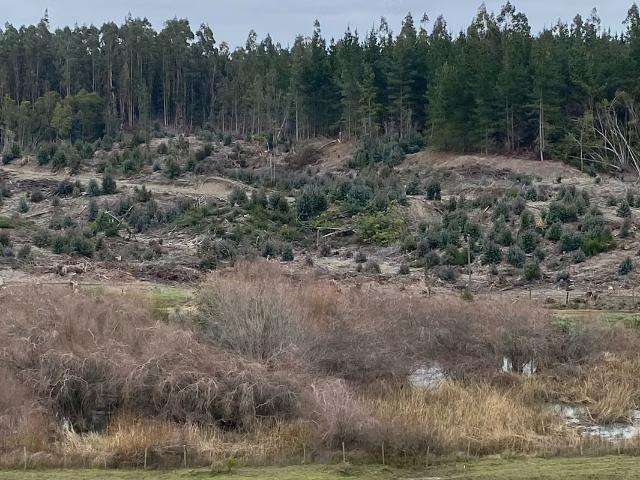 Terreno en venta en Chanco, Maule