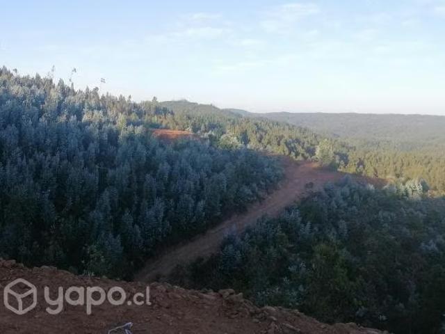 Terreno en venta en Chiguayante, Biobío