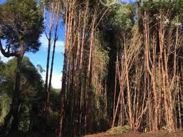 Terreno en venta en Chonchi, Los Lagos