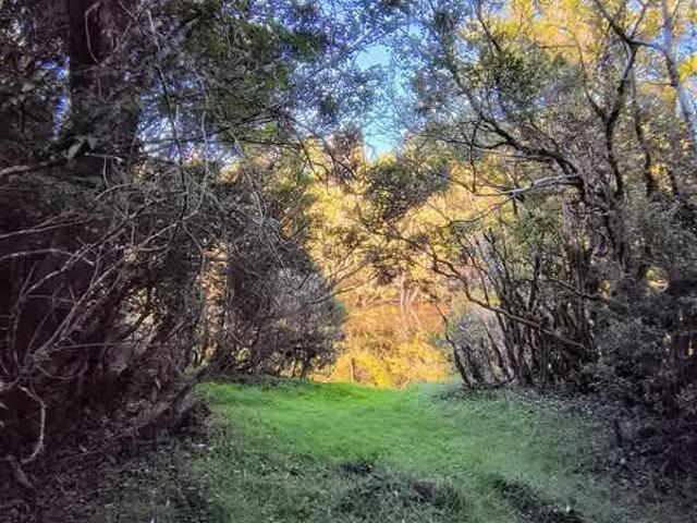 Terreno en venta en Chonchi, Los Lagos