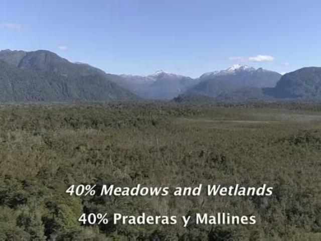 Terreno en venta en Puerto Cisnes, Cisnes