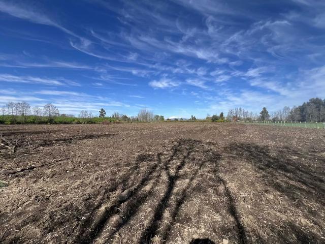 Terreno en arriendo en Ñuble