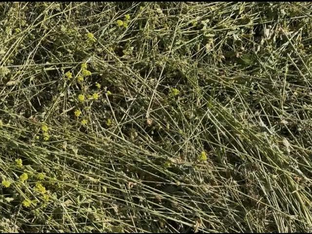 Terreno en arriendo en Algarrobal, Metropolitana