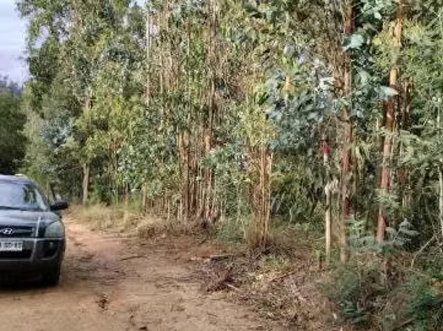 Terreno en venta en Concepción, Biobío