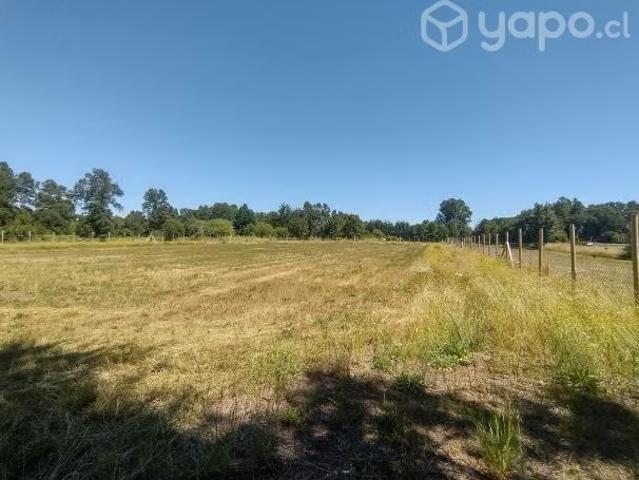 Terreno en venta en Cunco, La Araucanía