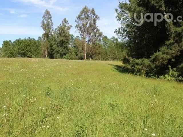 Terreno en venta en Cunco, La Araucanía