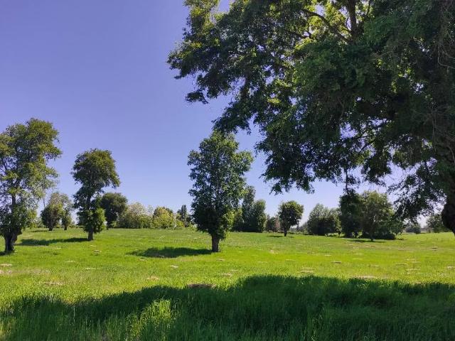 Terreno en venta en Villa 20 de Agosto, El Carmen