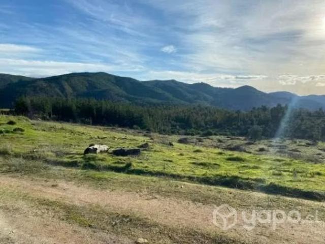 Terreno en venta en Empedrado, Maule