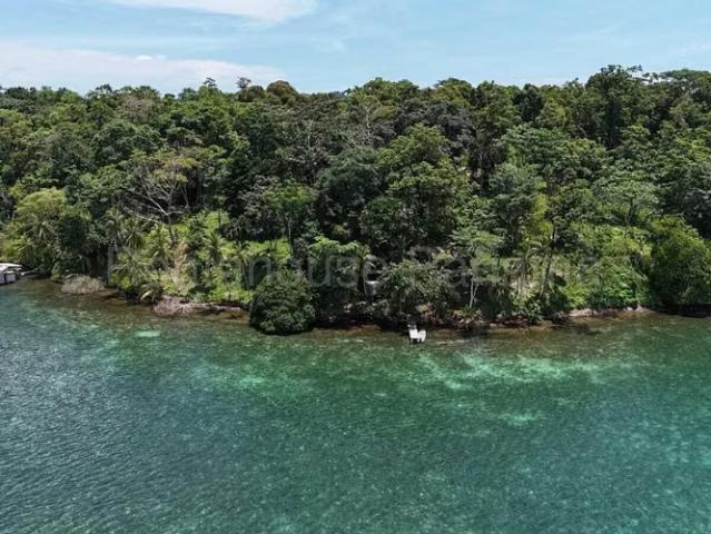 Terreno venta en Isla Colón, Bocas del Toro
