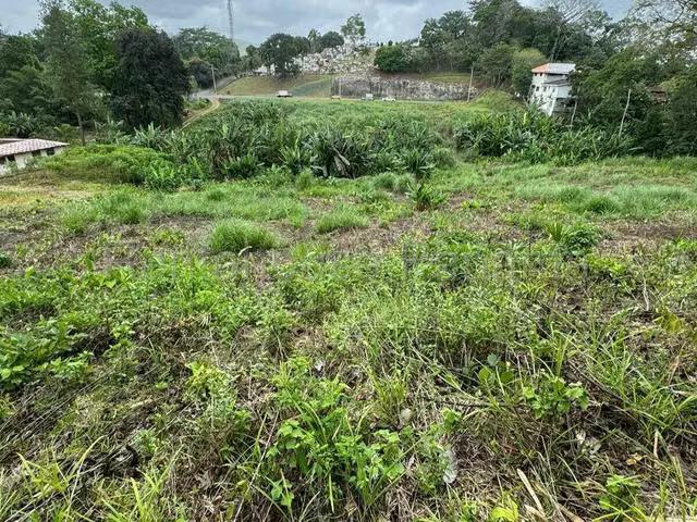 Terreno venta en Buena Vista, Colón